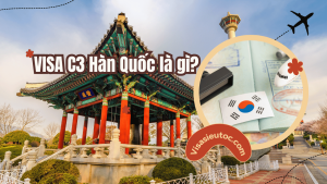 Visa c3 hàn quốc là gì